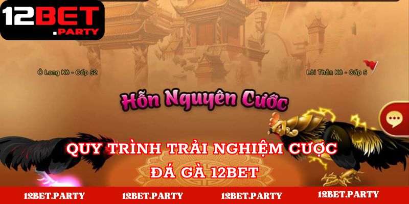 Các bước đặt cược và nhận thưởng từ game đá gà 