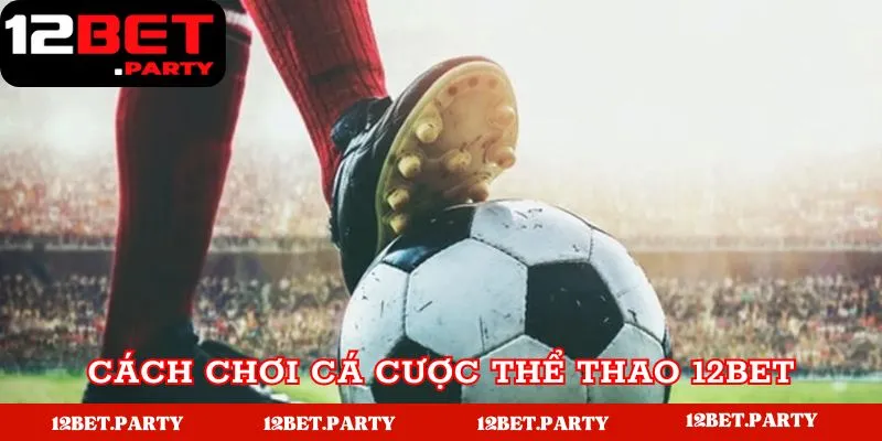 Cá Cược Thể Thao 12bet Thắng Lớn Cho Bet Thủ 4 Các bước tham gia chơi game tại 12bet